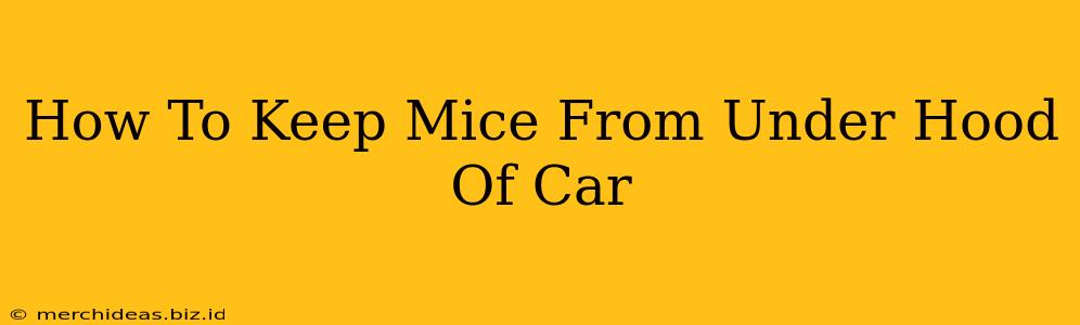 How To Keep Mice From Under Hood Of Car