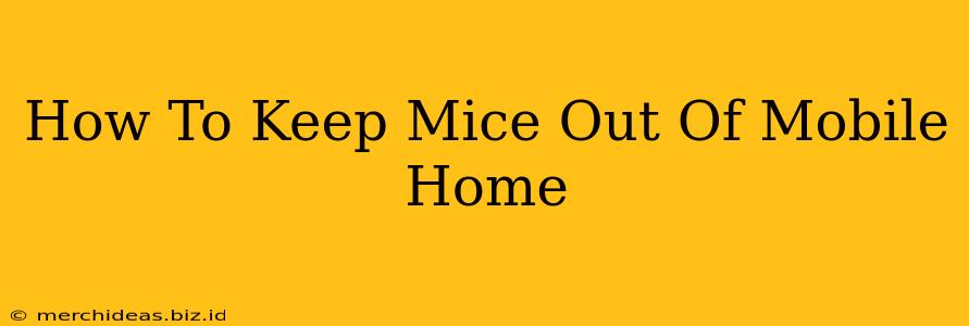 How To Keep Mice Out Of Mobile Home