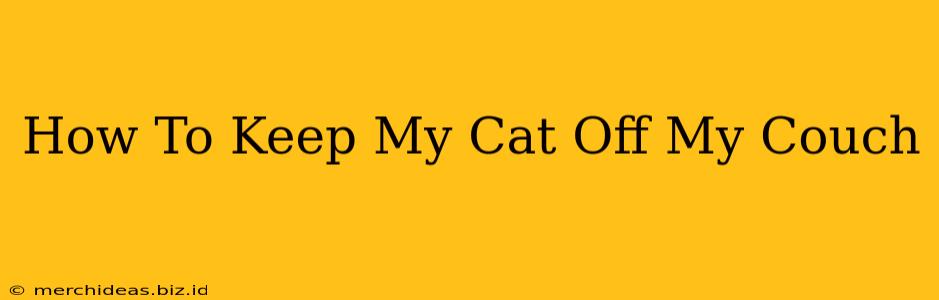 How To Keep My Cat Off My Couch