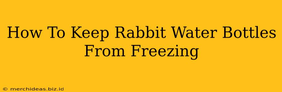 How To Keep Rabbit Water Bottles From Freezing