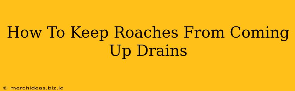 How To Keep Roaches From Coming Up Drains