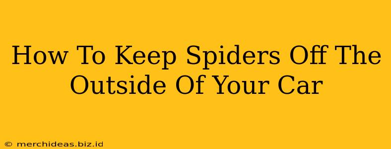 How To Keep Spiders Off The Outside Of Your Car