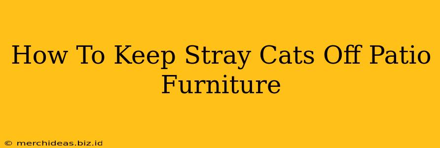 How To Keep Stray Cats Off Patio Furniture