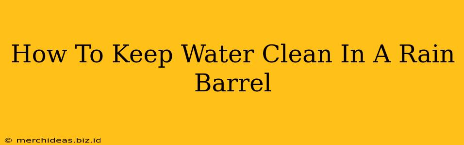 How To Keep Water Clean In A Rain Barrel