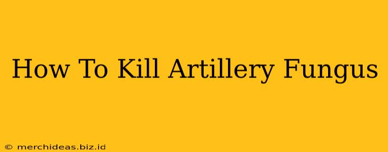 How To Kill Artillery Fungus