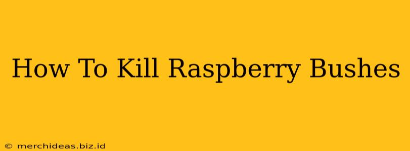 How To Kill Raspberry Bushes