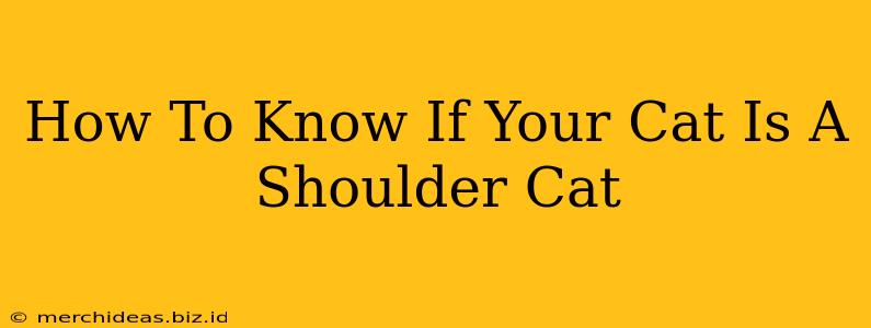 How To Know If Your Cat Is A Shoulder Cat