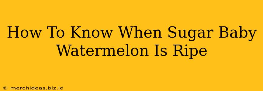 How To Know When Sugar Baby Watermelon Is Ripe