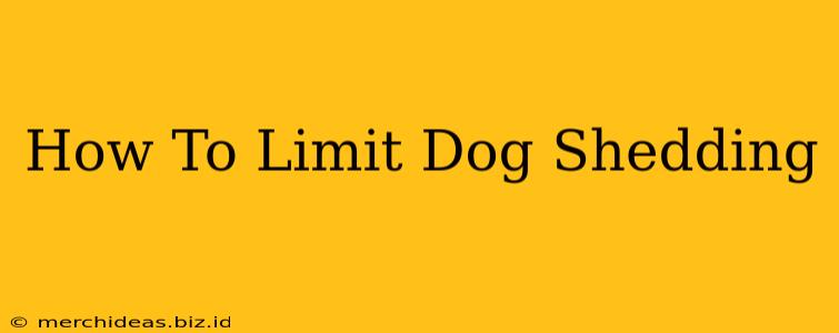 How To Limit Dog Shedding