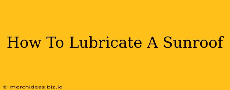 How To Lubricate A Sunroof