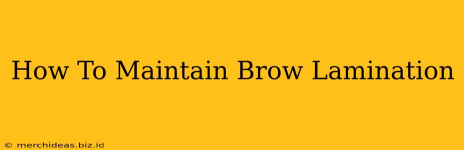 How To Maintain Brow Lamination