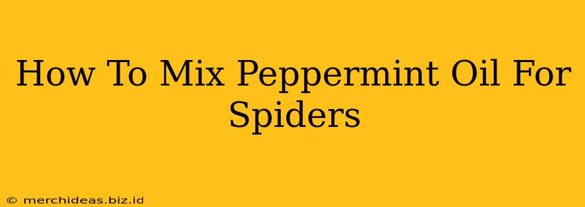 How To Mix Peppermint Oil For Spiders