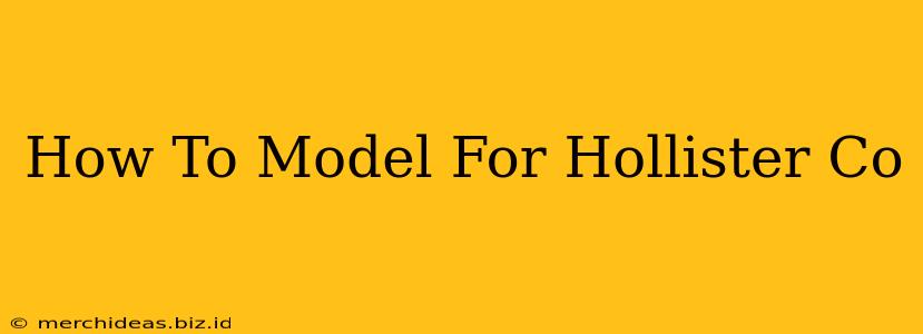 How To Model For Hollister Co