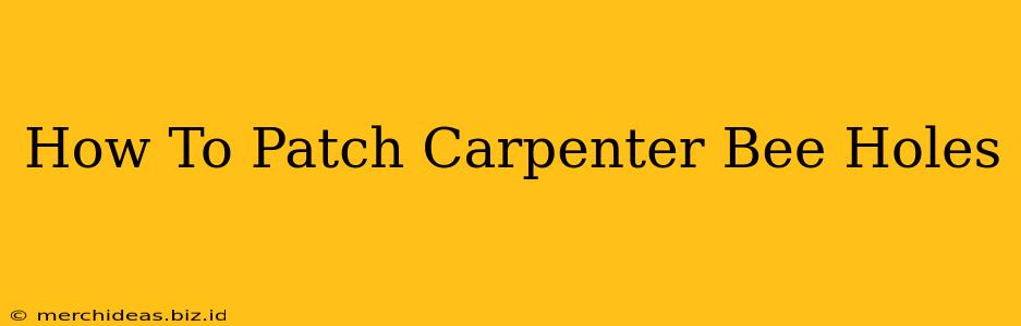 How To Patch Carpenter Bee Holes