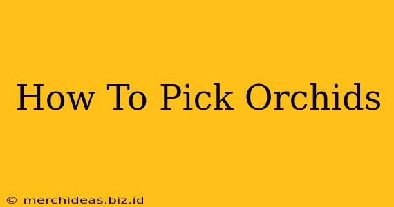 How To Pick Orchids