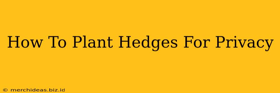 How To Plant Hedges For Privacy
