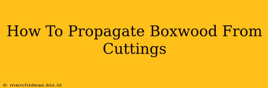 How To Propagate Boxwood From Cuttings