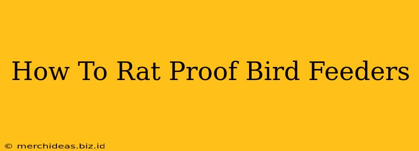How To Rat Proof Bird Feeders