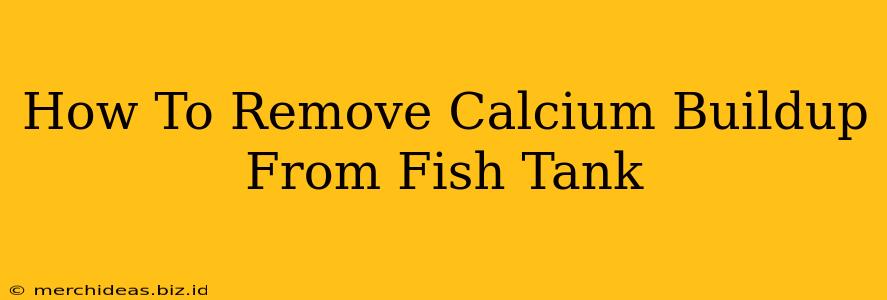 How To Remove Calcium Buildup From Fish Tank