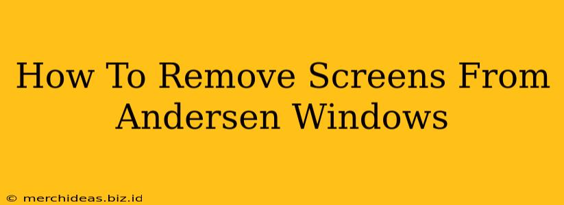 How To Remove Screens From Andersen Windows