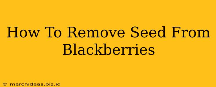 How To Remove Seed From Blackberries