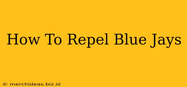 How To Repel Blue Jays