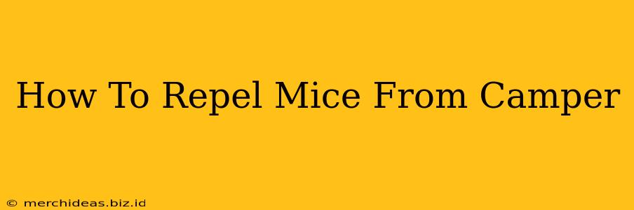 How To Repel Mice From Camper