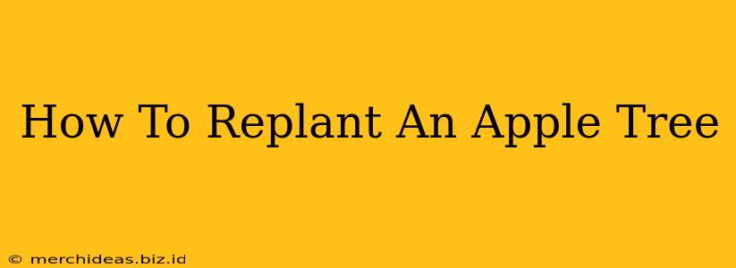 How To Replant An Apple Tree