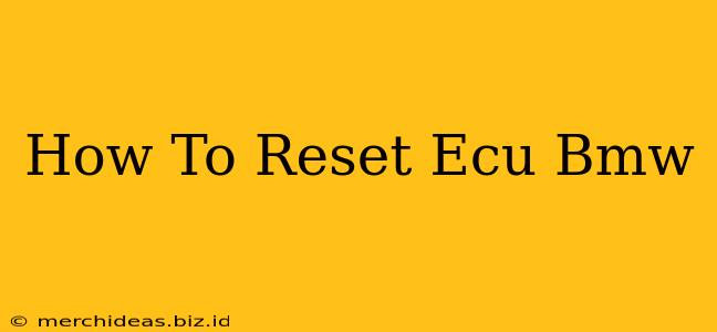 How To Reset Ecu Bmw