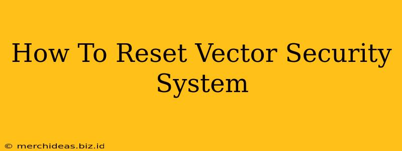 How To Reset Vector Security System