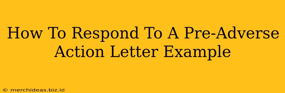 How To Respond To A Pre-Adverse Action Letter Example