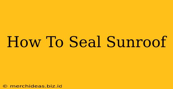 How To Seal Sunroof