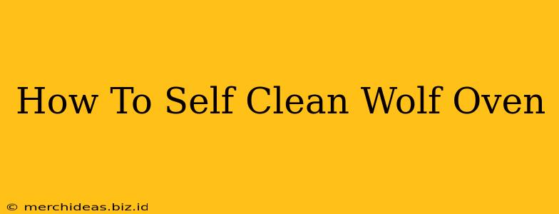 How To Self Clean Wolf Oven