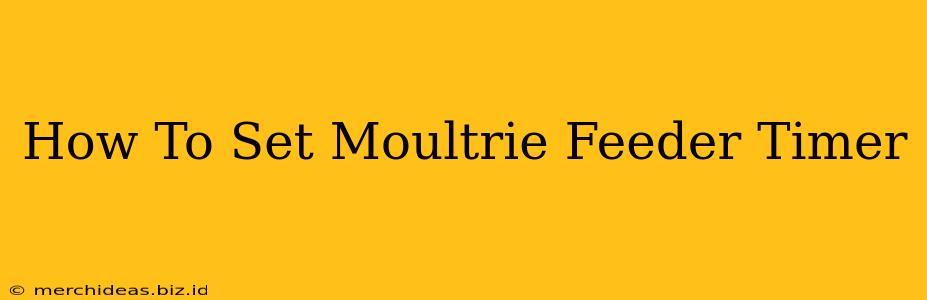 How To Set Moultrie Feeder Timer