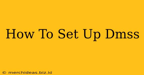 How To Set Up Dmss