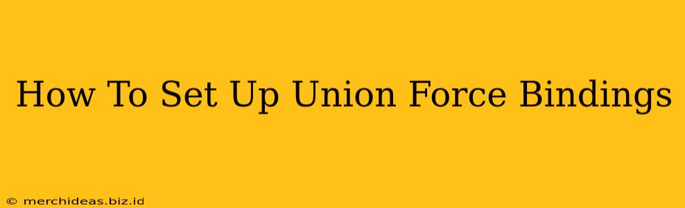 How To Set Up Union Force Bindings