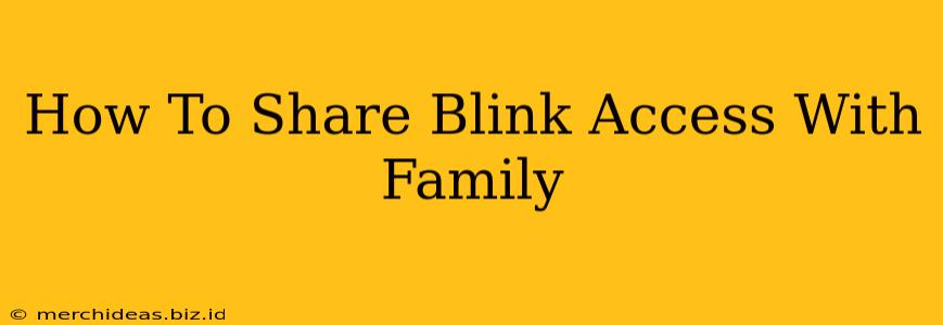How To Share Blink Access With Family
