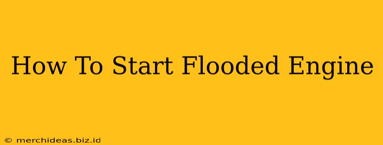 How To Start Flooded Engine