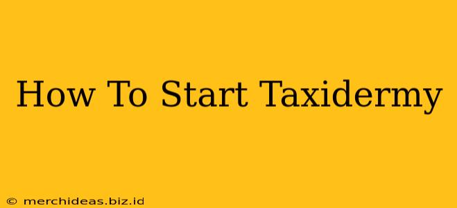 How To Start Taxidermy