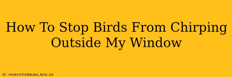 How To Stop Birds From Chirping Outside My Window