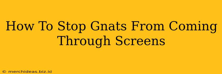 How To Stop Gnats From Coming Through Screens