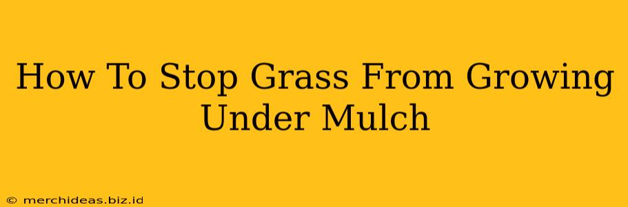 How To Stop Grass From Growing Under Mulch