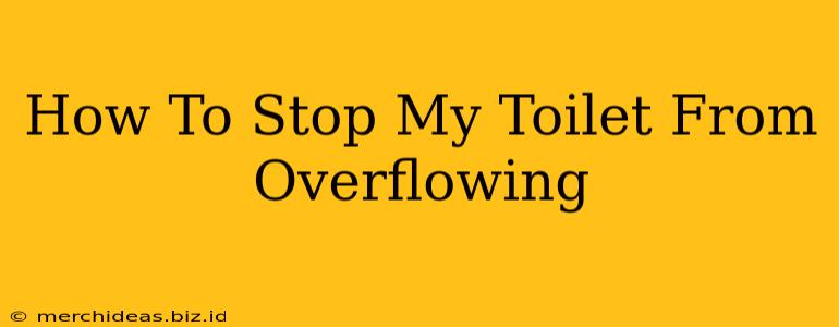 How To Stop My Toilet From Overflowing