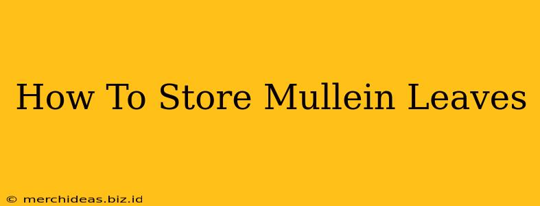 How To Store Mullein Leaves