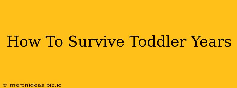 How To Survive Toddler Years