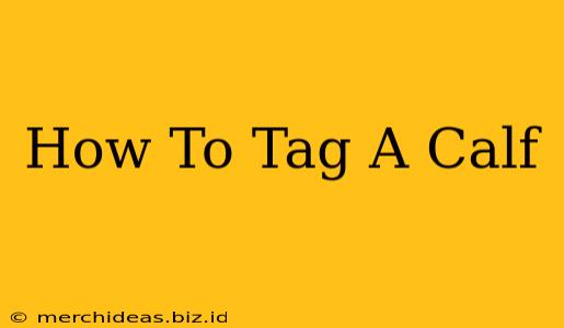 How To Tag A Calf