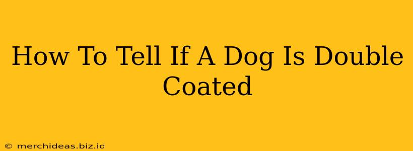 How To Tell If A Dog Is Double Coated