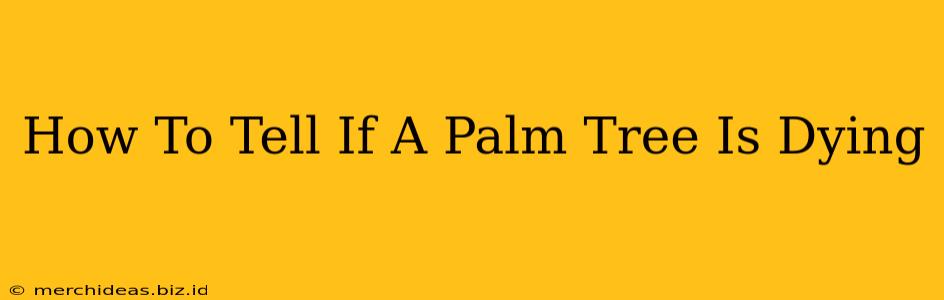 How To Tell If A Palm Tree Is Dying
