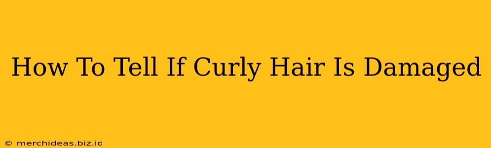 How To Tell If Curly Hair Is Damaged