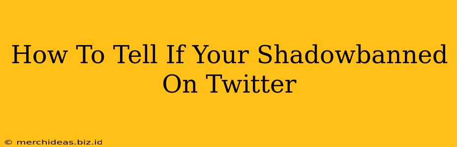 How To Tell If Your Shadowbanned On Twitter